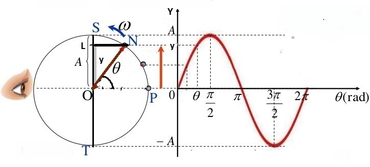 physics-chapter-9simple-harmonic-motion-11-728